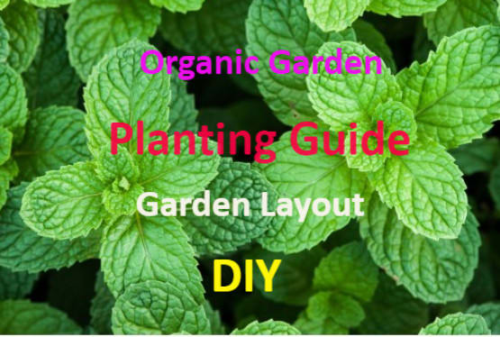 Gig Preview - Write a planting guide for organic gardens