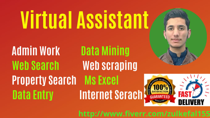 Gig Preview - Be a virtual assistant for data entry and web research