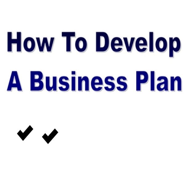 Gig Preview - Write a professional proposal and business plan