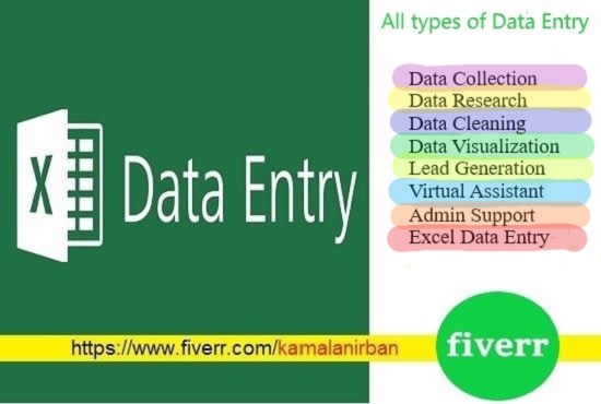 Gig Preview - Do data entry and excel data entry for you