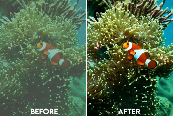 Gig Preview - Do the color correction and editing of underwater pictures