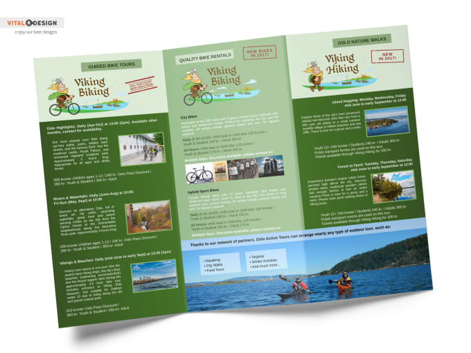 Gig Preview - Do the professional flyer, bifold, trifold brochure design