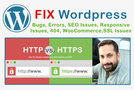 Gig Preview - Fix wordpress issues, bugs, errors, problems within 1 hour