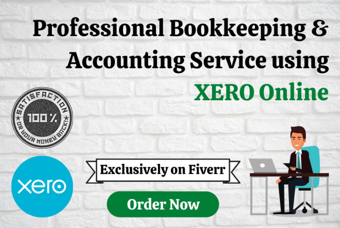 Gig Preview - Be your virtual accountant and bookkeeper with xero online