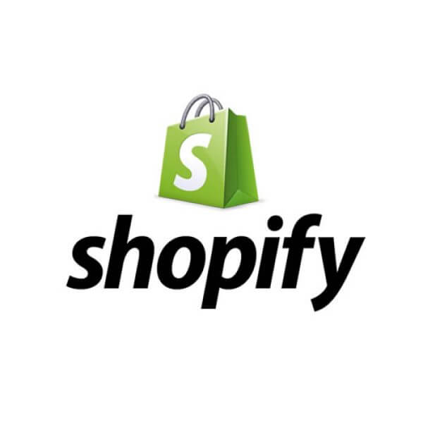 Gig Preview - Do shopify website development