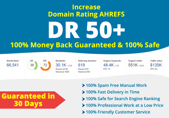 Gig Preview - Increase domain rating DR 50 plus