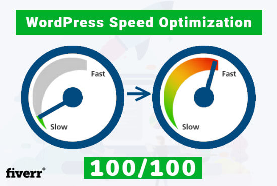 Gig Preview - Do wordpress site speed optimization for google pagespeed insights