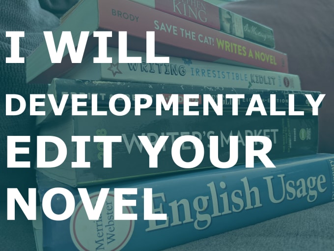 Gig Preview - Developmentally edit your novel