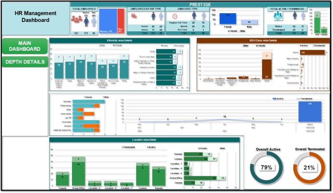 Gig Preview - Create an excel automated dashboard and template