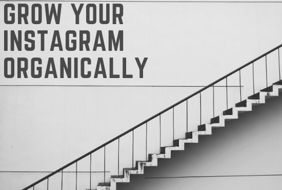 Gig Preview - Manage your instagram account and be your content creator