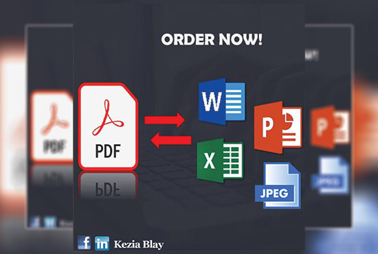 Gig Preview - Convert your PDF files for you in an hour