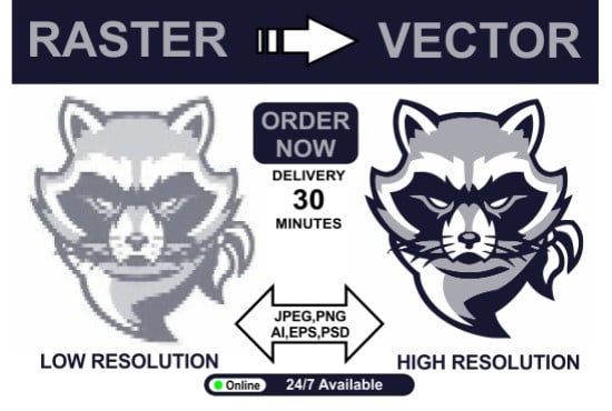 Gig Preview - Convert raster logo, image in vector file high resolution ai,eps,PDF,png,cdr