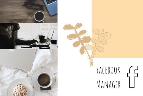 Gig Preview - Be your facebook manager