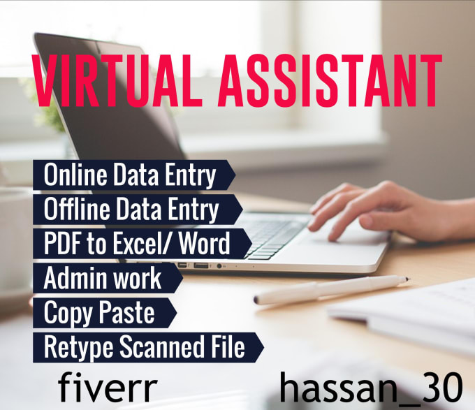 Gig Preview - Be your personal virtual assistant for data entry and other tasks