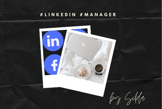 Gig Preview - Be your linkedin manager