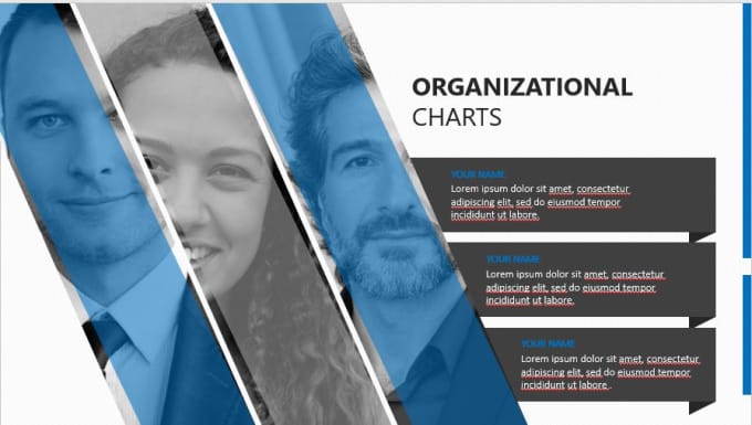 Gig Preview - Design your organizational flowchart, hierarchy chart