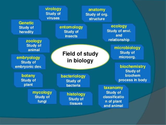 Gig Preview - Do research and writing related to biology