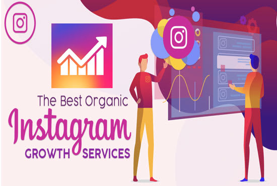 Gig Preview - Do instagram marketing to grow your followers organically