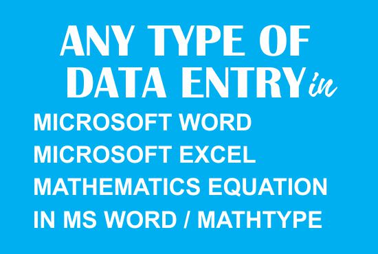 Gig Preview - Do quality work any type of data entry in word and excel