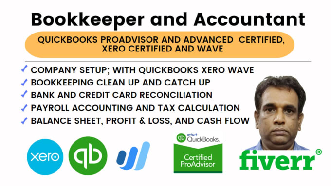 Gig Preview - Do your bookkeeping and using xero and quickbooks online