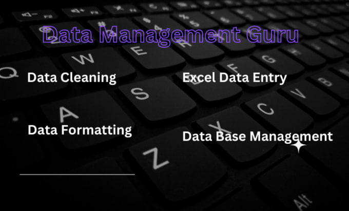 Gig Preview - Be your data management guru