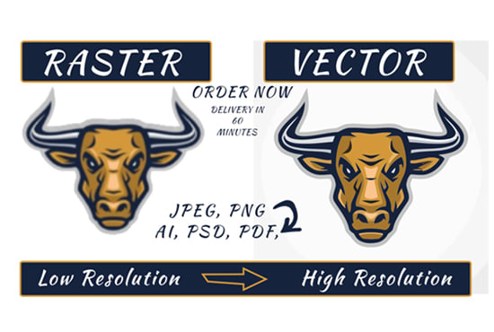 Gig Preview - Do vector tracing, low res logo to vector,