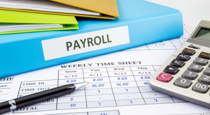 Gig Preview - Do payroll management and related services