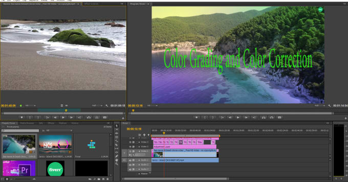 Gig Preview - Do professional video editing