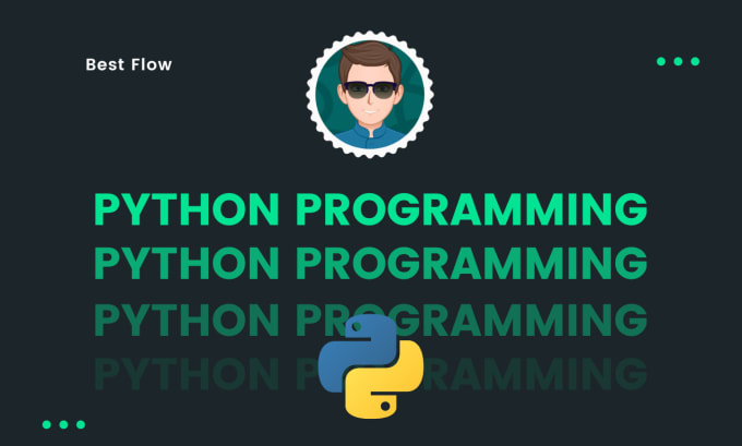 Gig Preview - Provide python programming solutions