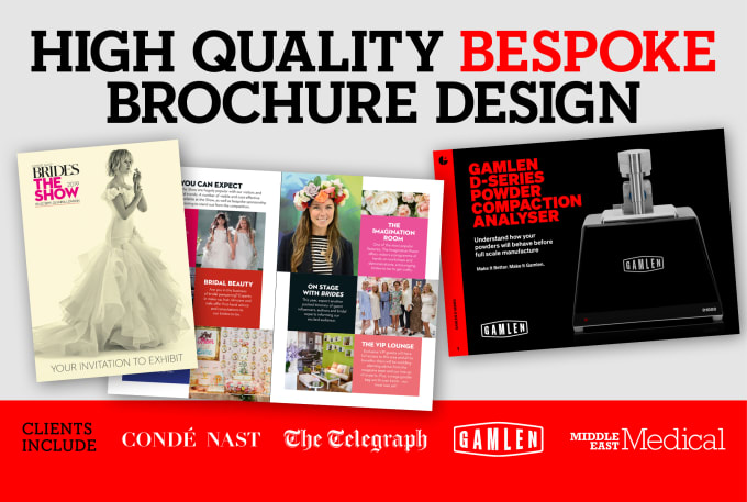 Gig Preview - Design a professional brochure or booklet