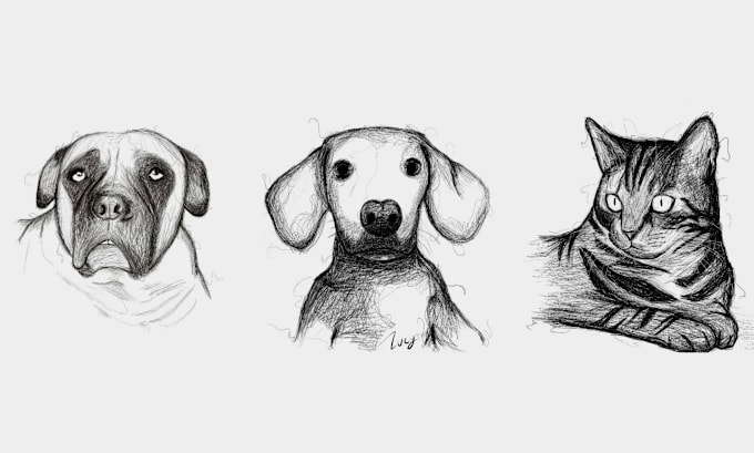 Gig Preview - Scribble your pet with procreate