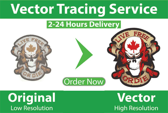 Gig Preview - Vector trace, vectorize, redraw logo convert image to vector