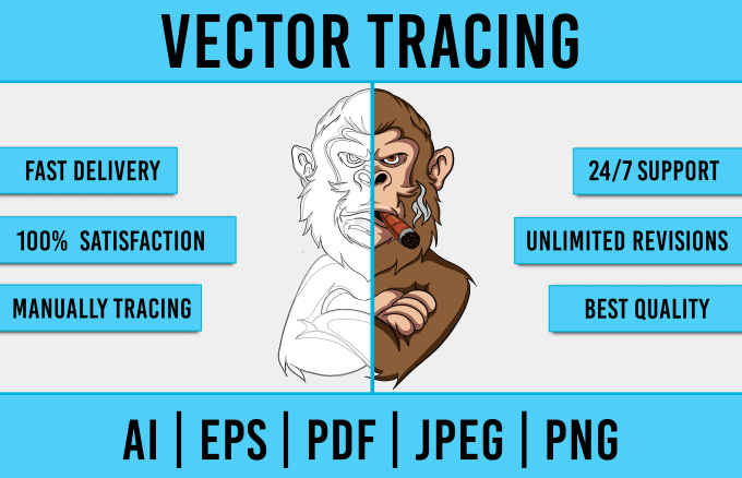 Gig Preview - Fast vectorize image, raster to vector, manual vector tracing