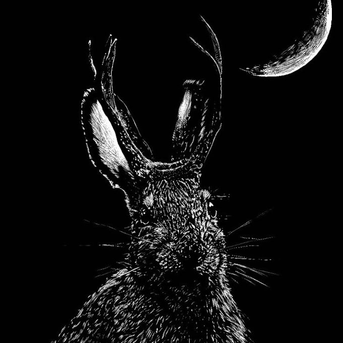 Gig Preview - Draw a detailed black and white illustration