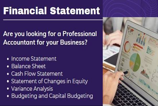 Gig Preview - Prepare financial statement, balance sheet, profit and loss and cash flows