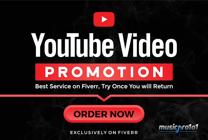 Gig Preview - Do organic youtube video promotion