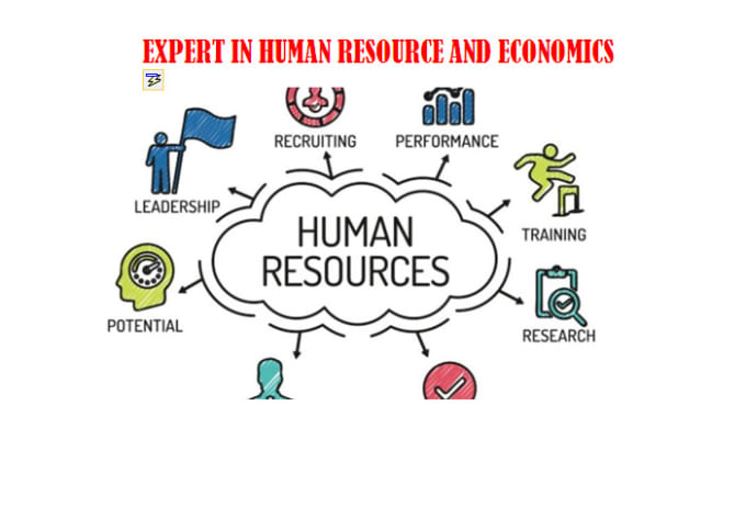 Gig Preview - Economics and human resource tasks perfectly