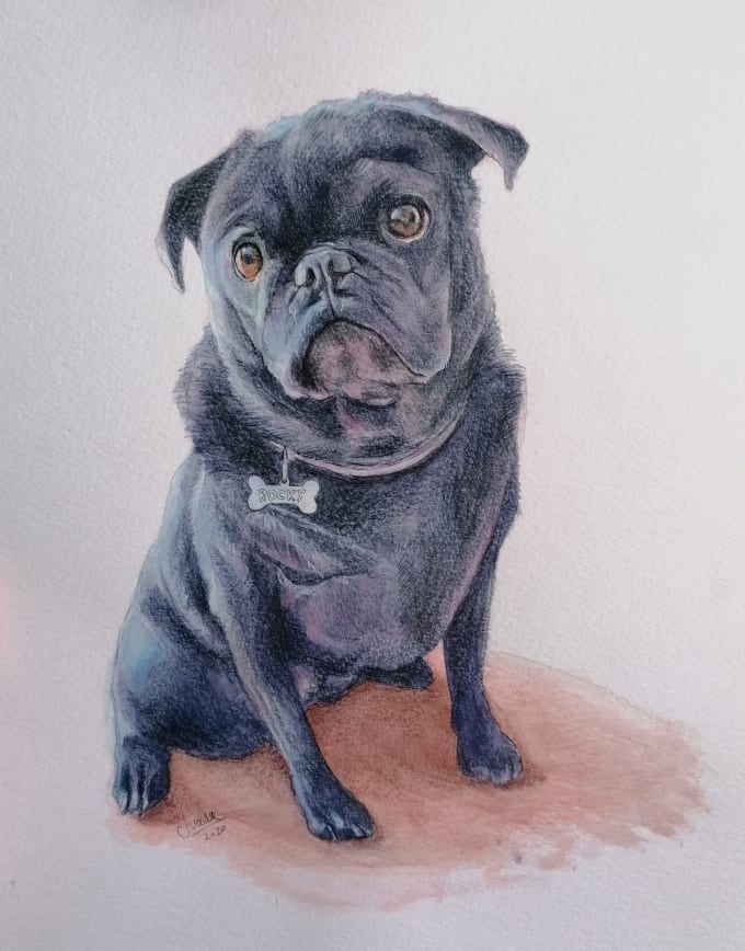 Gig Preview - Draw a realistic portrait of your pet