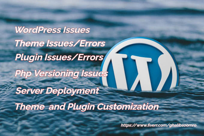 Gig Preview - Fix debug plugin theme and wordpress errors professionally