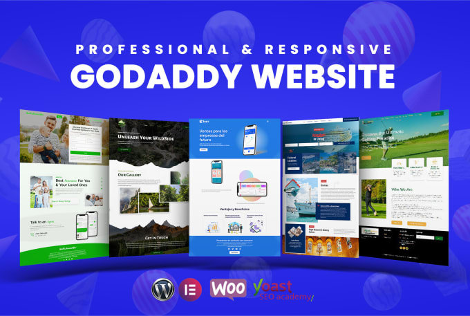 Gig Preview - Develop a professional and responsive godaddy website