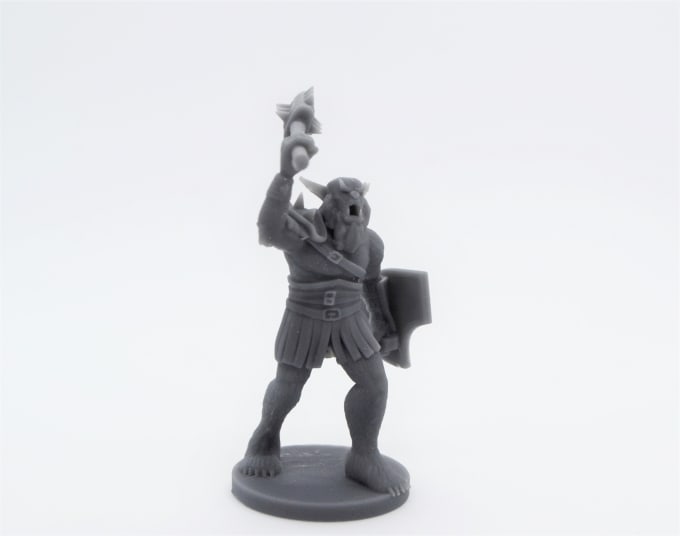 Gig Preview - Print 3d minis for you sla