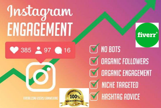 Gig Preview - Grow and manage your instagram account professionally