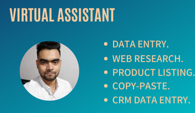 Gig Preview - Virtual assistant for data entry web research