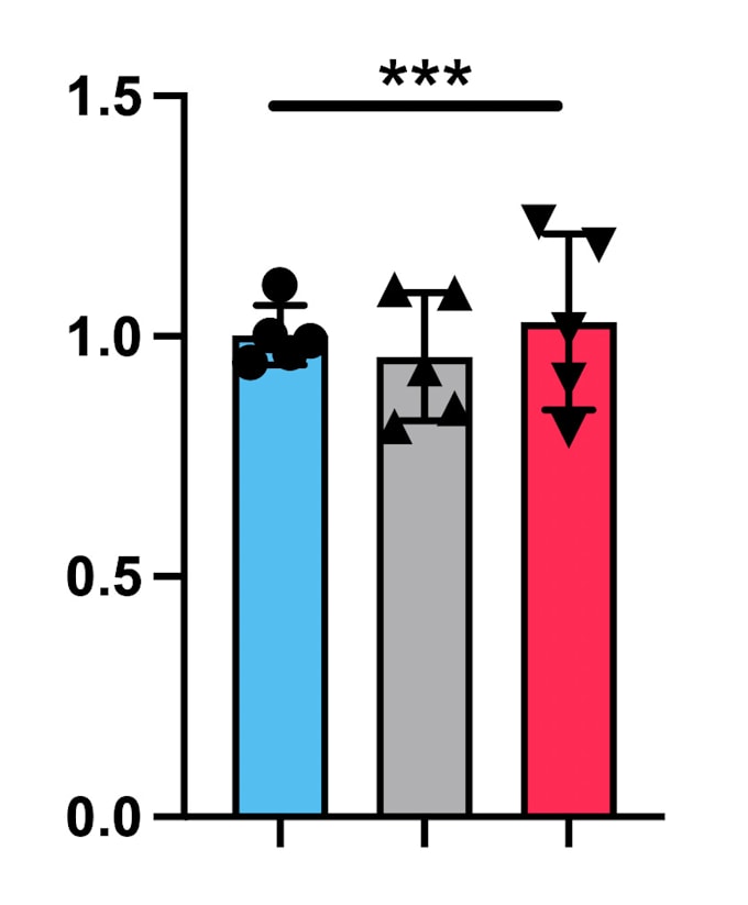 Gig Preview - Do the data processing for qpcr experiments for you