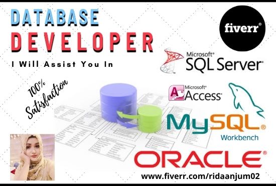 Gig Preview - Design and develop database applications and write queries