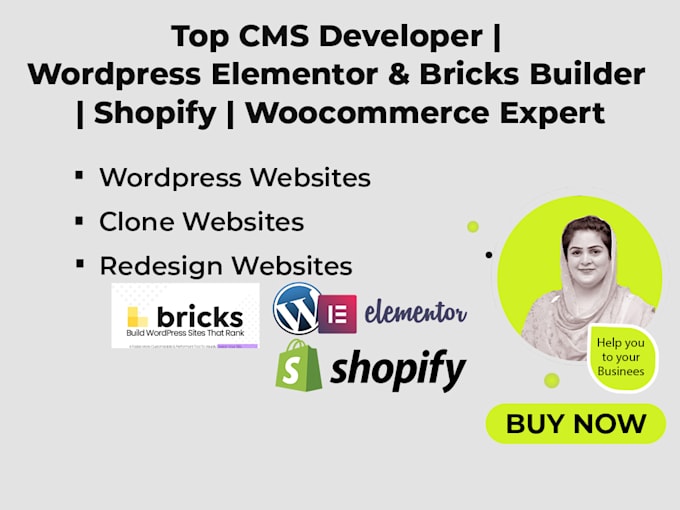 Gig Preview - Design responsive wordpress website using bricks builder