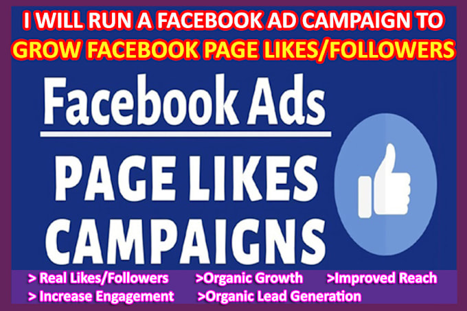 Gig Preview - Run a facebook ad campaign to grow page likes