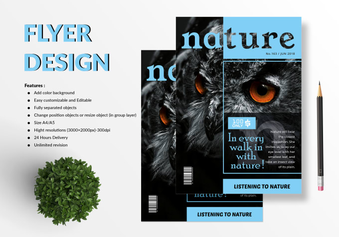 Gig Preview - Design any kind of flyer, poster, brochure in canva