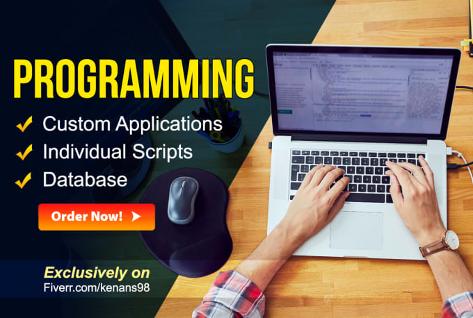 Gig Preview - Do programming custom application script plugin database