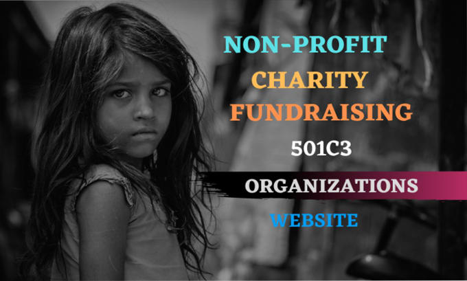 Gig Preview - Build nonprofit charity fundraising website with donation system